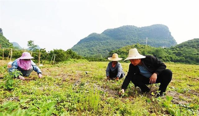 螃蟹养殖视频致富经_致富经张键养螃蟹_螃蟹养什么好