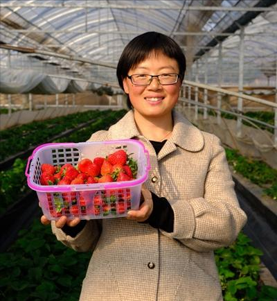 高手种植草莓致富_致富经种草莓尹淑萍_种草致富经