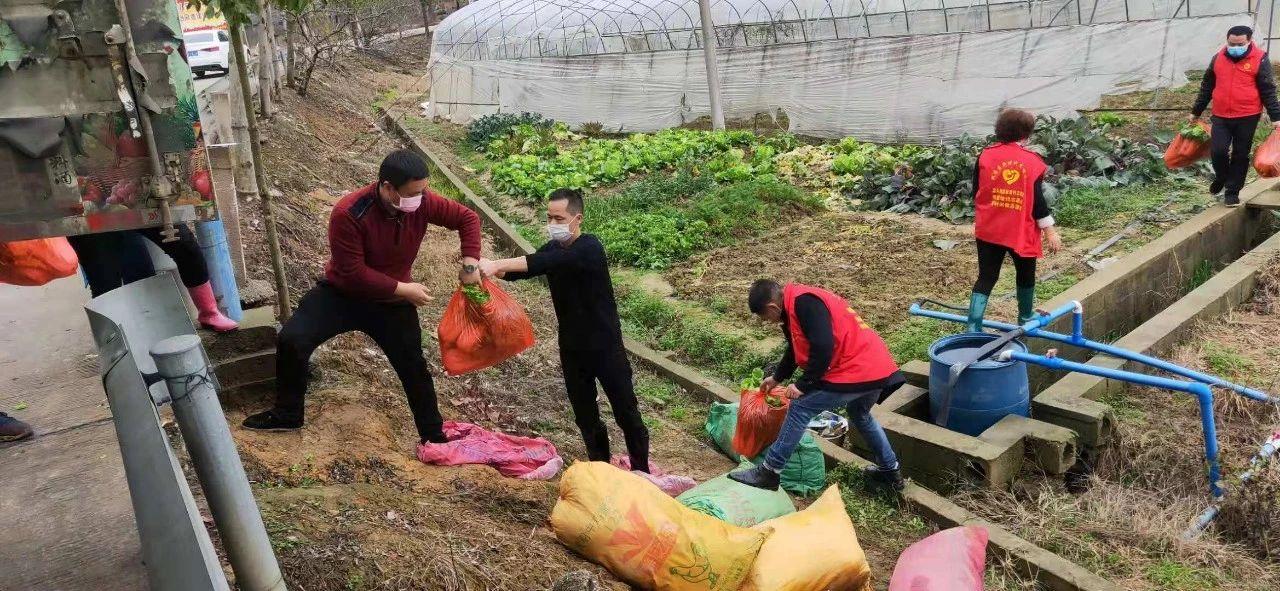 致富经种草莓尹淑萍_高手种植草莓致富_种草致富经