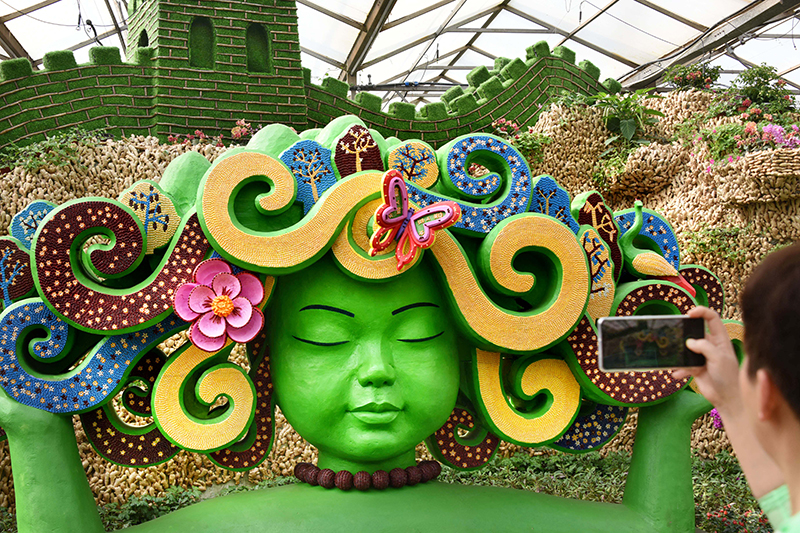 山东尖椒产地在哪里_山东尖椒种植技术_种植山东尖椒技术视频