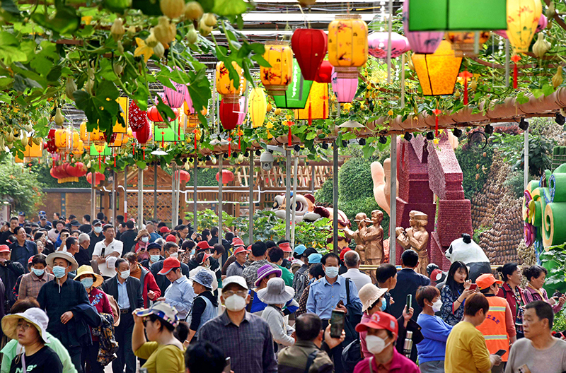 山东尖椒产地在哪里_山东尖椒种植技术_种植山东尖椒技术视频