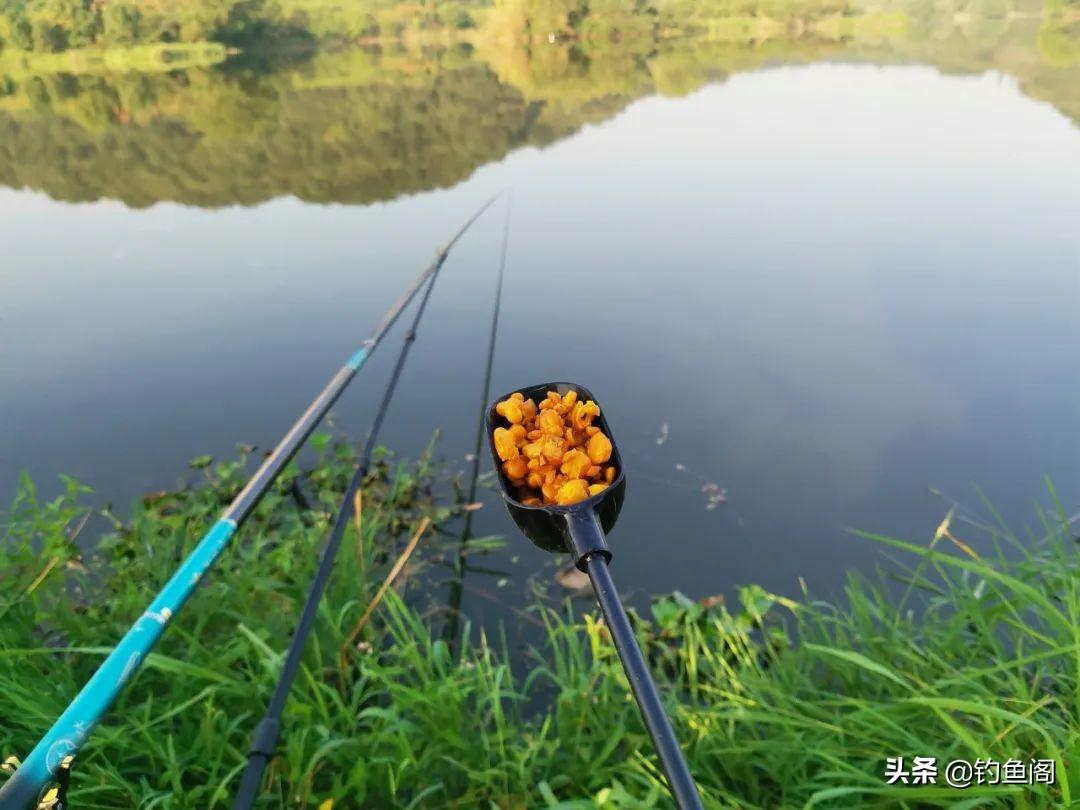 4种玉米的不同用法，合理的选择和搭配才能钓大鱼，你选对了吗？