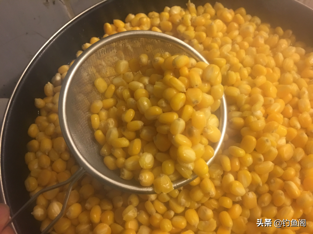 致富经翘嘴鱼养殖视频_致富视频养鱼翘嘴视频大全_致富经养翘嘴鱼致富视频