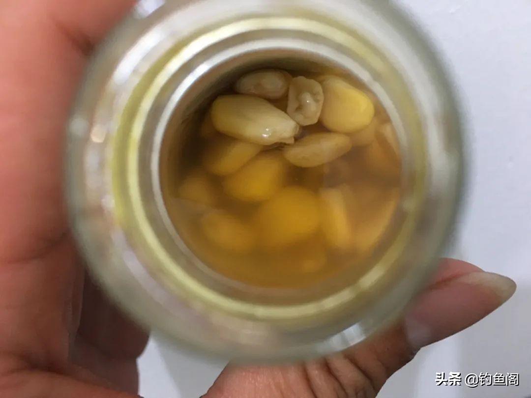 致富经翘嘴鱼养殖视频_致富经养翘嘴鱼致富视频_致富视频养鱼翘嘴视频大全