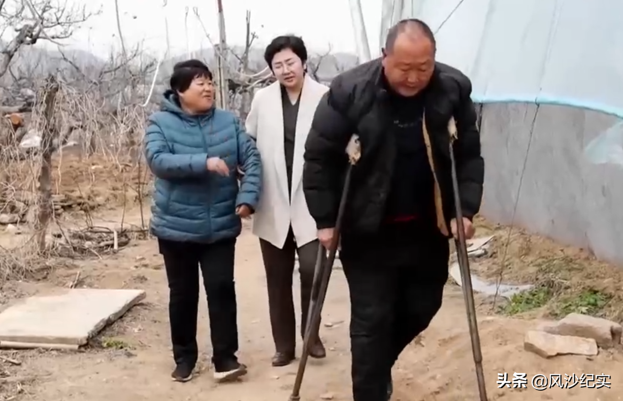 致富高手种植草莓视频_高手种植草莓致富_种草致富经