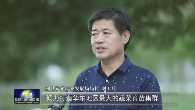 农村种植蔬菜致富_种蔬菜致富经_致富经蔬菜种植视频