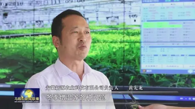 种蔬菜致富经_致富经蔬菜种植视频_农村种植蔬菜致富