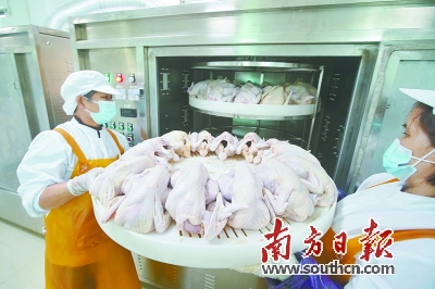 黄脚麻鸡的生长速度_黄脚麻鸡养殖技术_黄脚麻鸡下蛋多吗