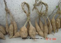 黄脚麻鸡的生长速度_黄脚麻鸡养殖技术_黄脚的麻鸡是什么品种