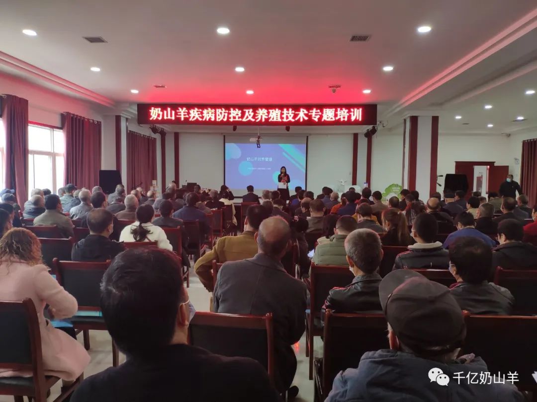 养殖奶羊的风险和利润_奶羊的养殖技术_奶羊养殖视频农广天地