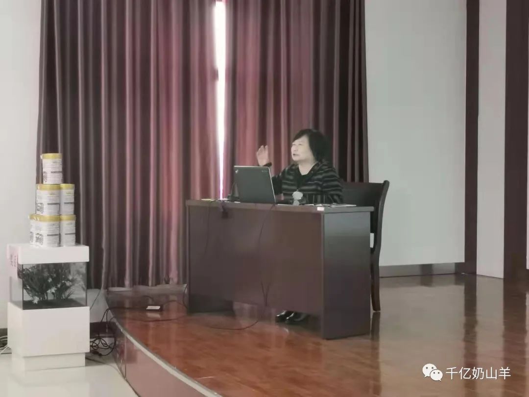 奶羊的养殖技术_养殖奶羊的风险和利润_奶羊养殖视频农广天地