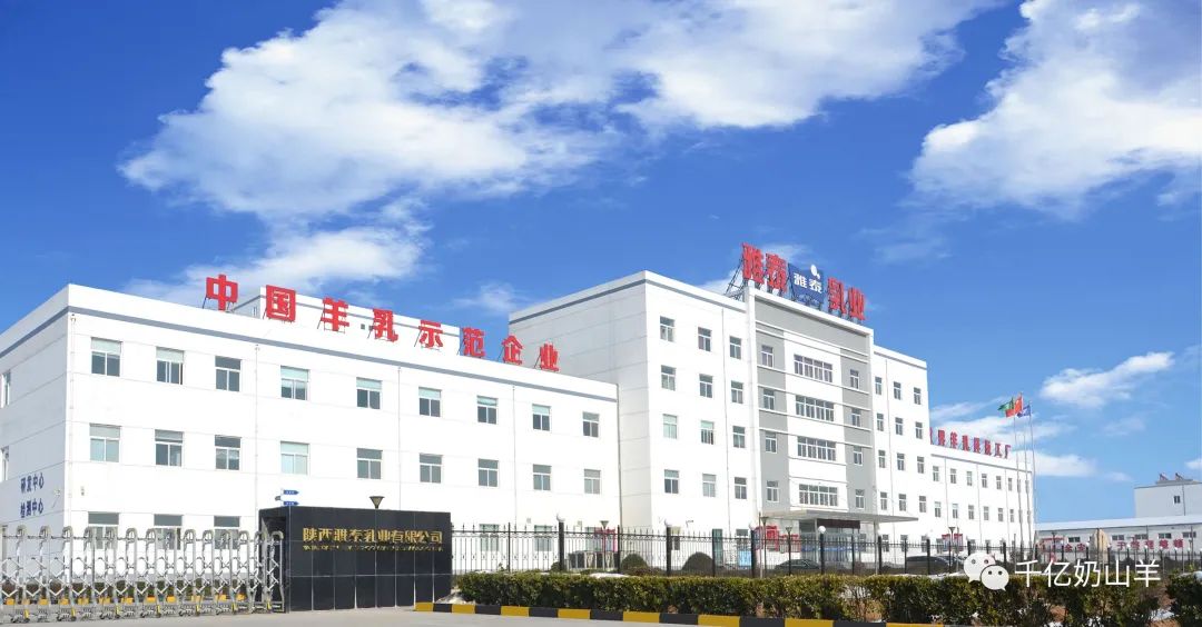 奶羊的养殖技术_奶羊养殖视频农广天地_养殖奶羊的风险和利润