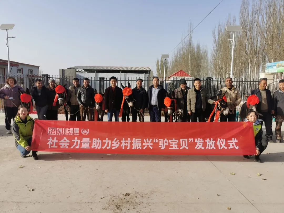 致富“驴宝贝”助农增收奔小康，深圳援疆社会力量助力乡村振兴