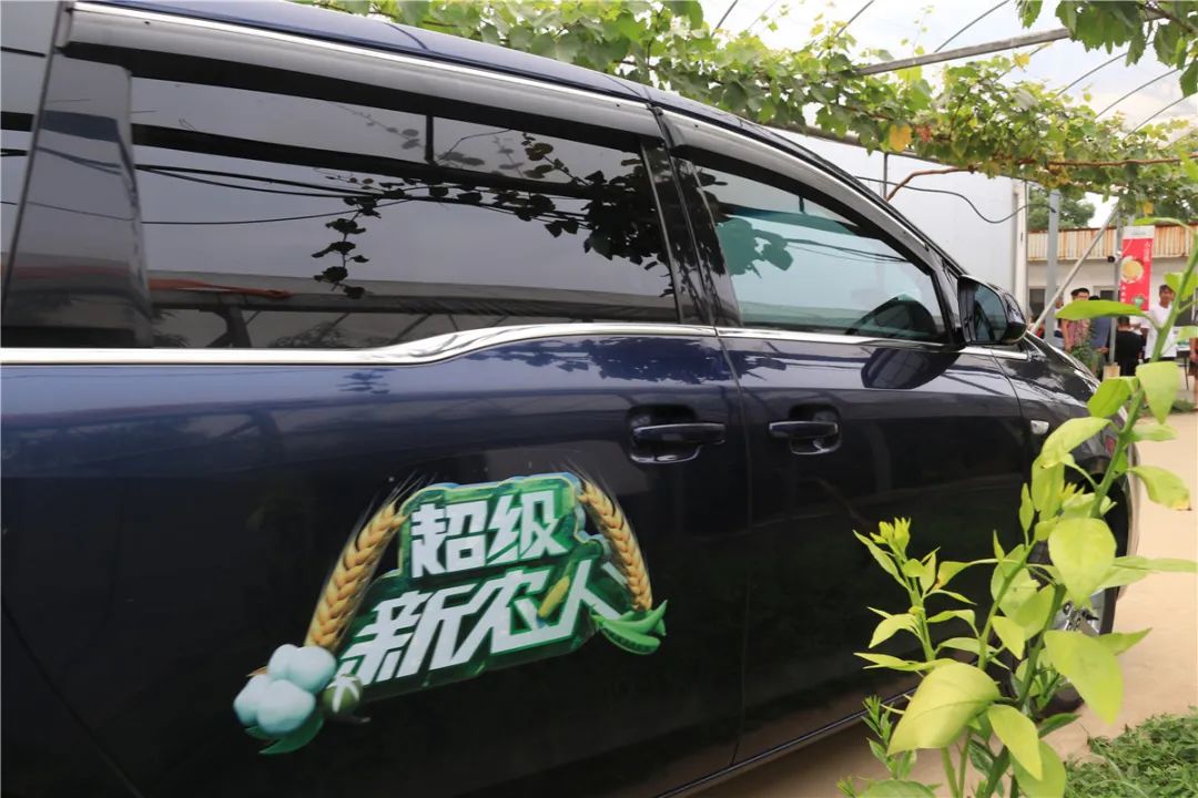 cctv7致富经视频采摘园_cctv7致富经视频采摘园_cctv7致富经视频采摘园