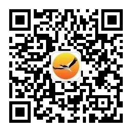 豌豆种植技术_农广天地豌豆种植技术视频_种植豌豆农村致富