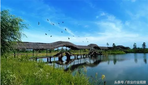 立体种植致富方法_立体种植视频_立体高效种植