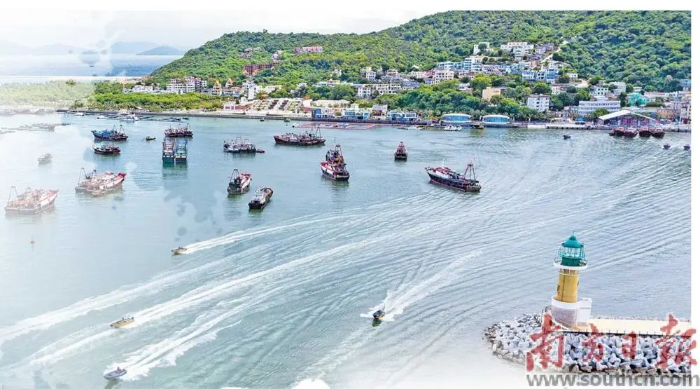 珠海从海而来 向海而兴 做好海文章