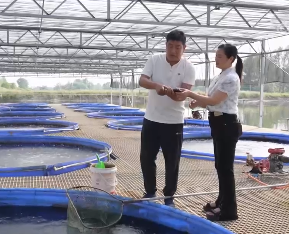 高密度养鱼致富经_致富经高密度养鱼一个月_高密度养鱼效益