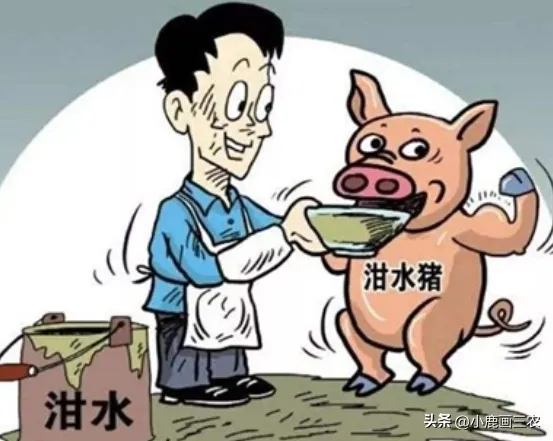 2023十大紧缺养殖业