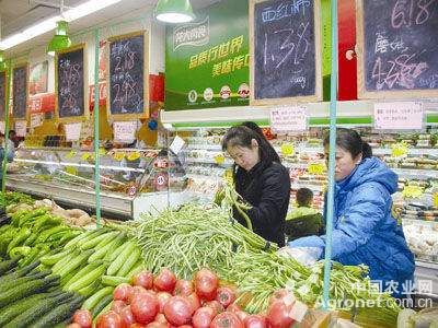 莲藕种子价格