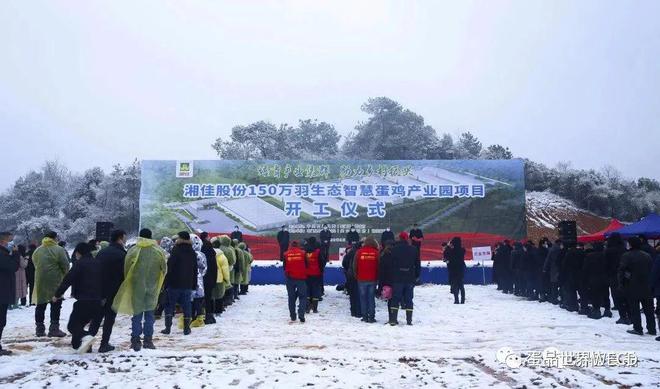 生态蛋鸡养殖技术视频_最新蛋鸡养殖技术视频_养蛋鸡视频大全视频农户