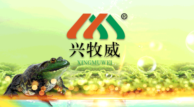 “高抗苗”表现惊艳！海大集团又多了一个战略武器，22万亩水面将迎重大变革