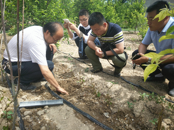 怪了！这个村“转业”就生财——记塔城地区额敏县水利局驻上户镇直属二村工作队