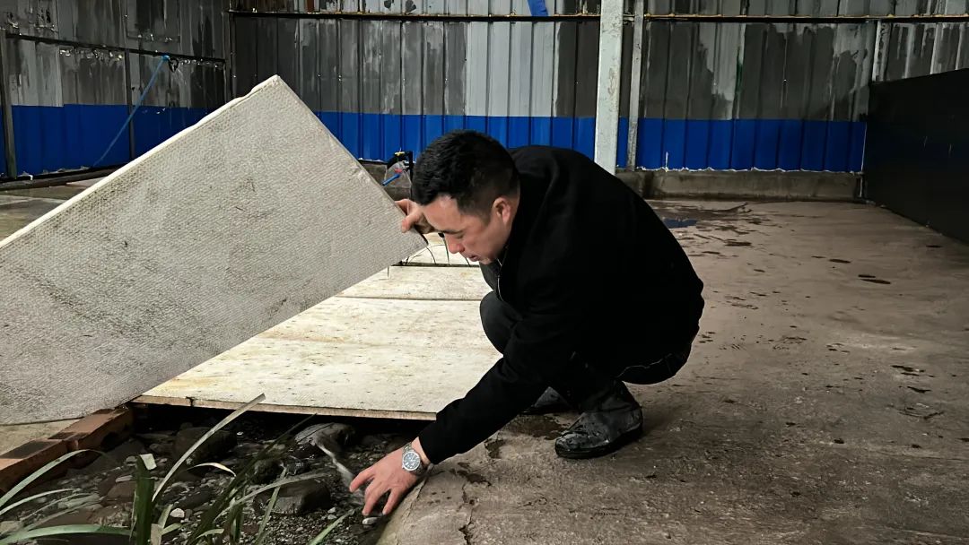 致富养殖石蛙视频_石蛙养殖赚钱吗_致富经养殖石蛙