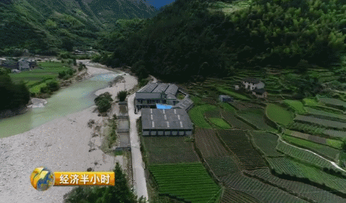 致富养殖石蛙视频_致富经养殖石蛙_石蛙养殖赚钱吗