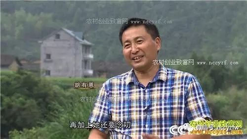 石蛙养殖致富经_致富经养殖石蛙_石蛙养殖赚钱吗