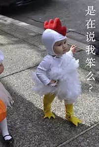 散养养鸡技术视频_散养鸡技术与养殖技巧_散养鸡的养殖技术