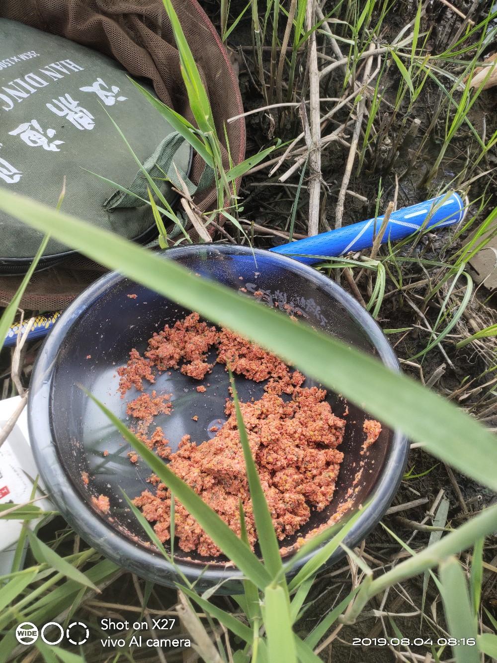 网箱养黑鱼苗视频_黑鱼网箱养殖技术_致富经网箱养黑鱼视频