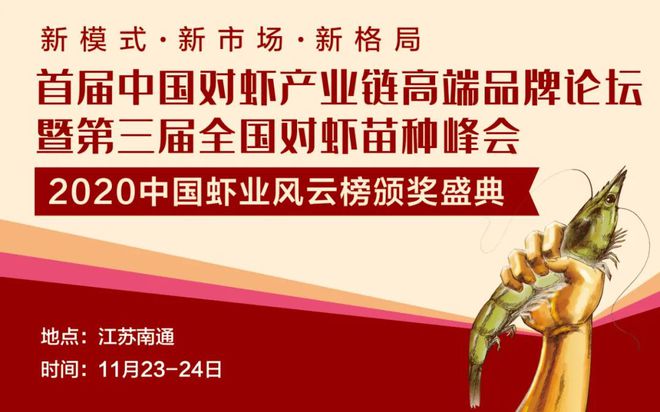 南美白对虾保肝护肝如何做_南白对虾怎么烧好吃_致富经南美白对虾