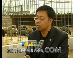 中央7套致富经全集养狗_中央致富经全集_中央7套致富经养牛