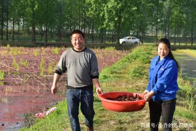龙虾养殖户_龙虾养殖场_小龙虾养殖技术公司