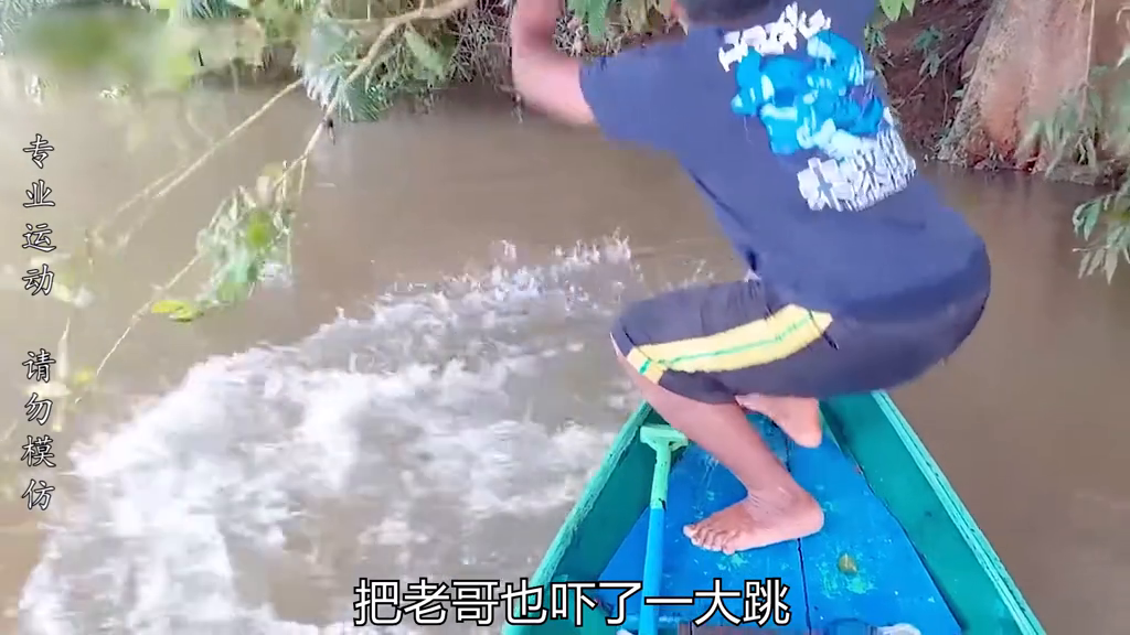 水花鱼的养殖技术_花鲶和鲶鱼的区别_鲶鱼水花养殖技术