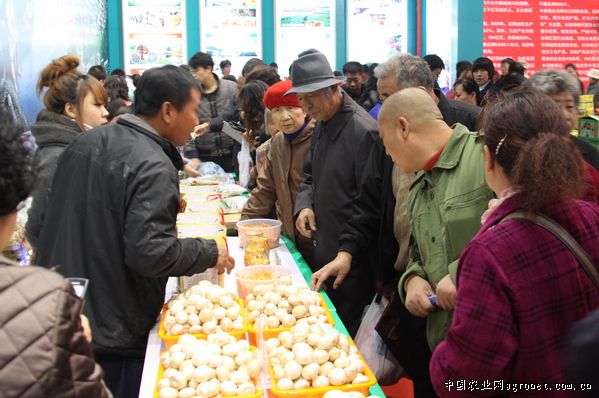 永丰县机关事务管理局：广元朝天区引进食用菌生产加工项目