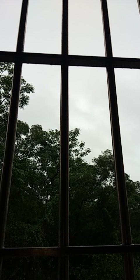 鲶鱼水花养殖技术_养殖水花鲶鱼技术视频_养殖水花鲶鱼技术要点