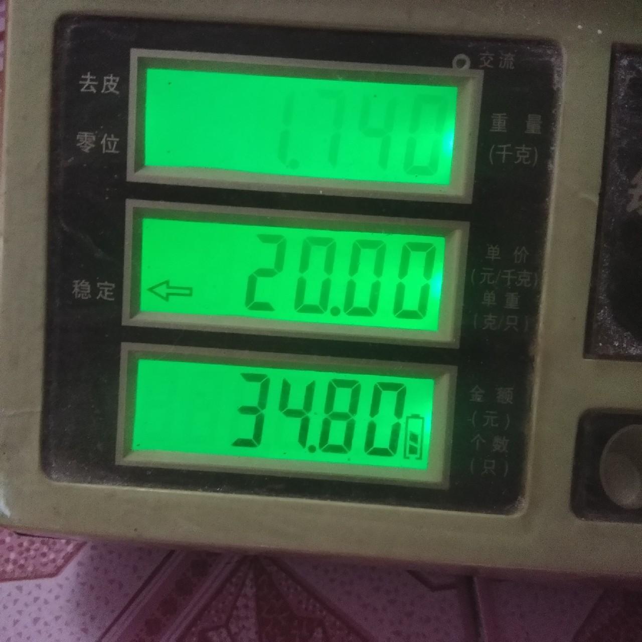 养殖水花鲶鱼技术要点_鲶鱼水花养殖技术_养殖水花鲶鱼技术视频