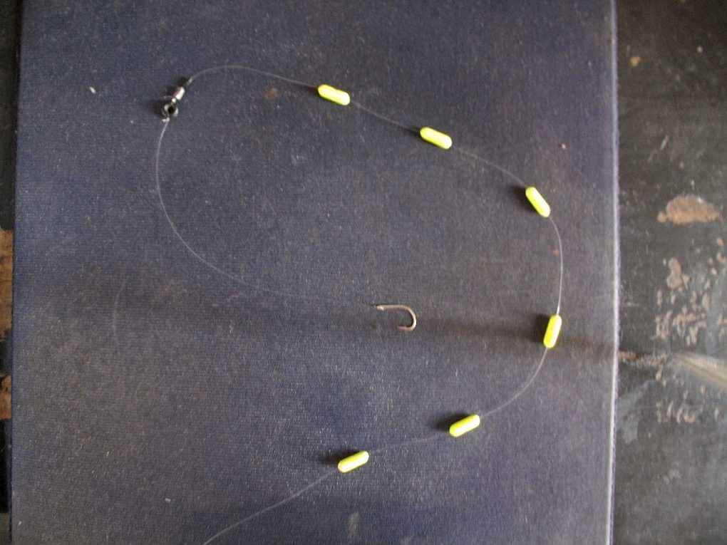 养殖水花鲶鱼技术要点_鲶鱼水花养殖技术_养殖水花鲶鱼技术要求
