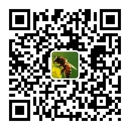 蜂的养殖教程视频_养蜂养殖技术视频播放_中华蜂养殖技术