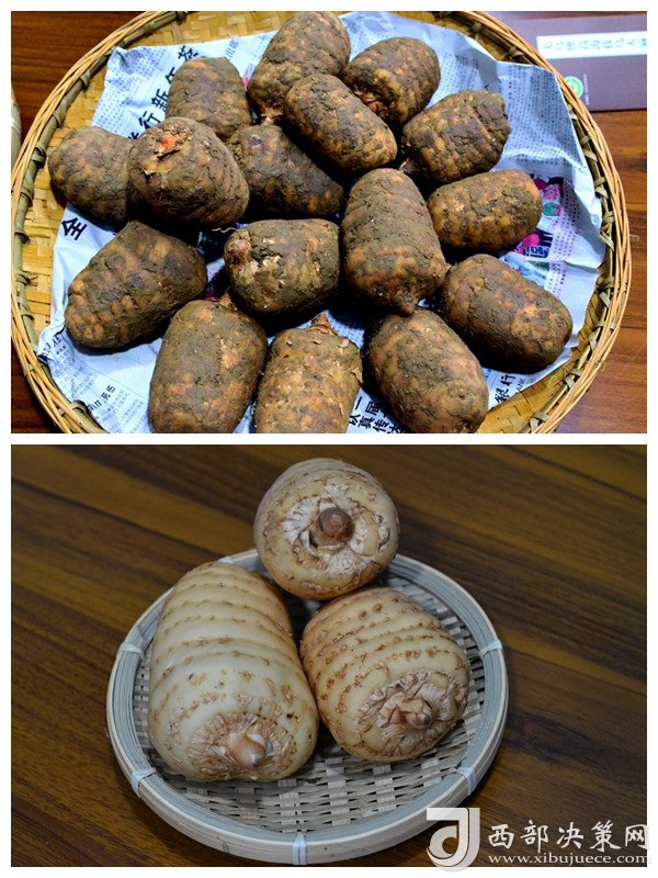 细辛种植致富实例图_致富经种植药材_致富经种植视频全集
