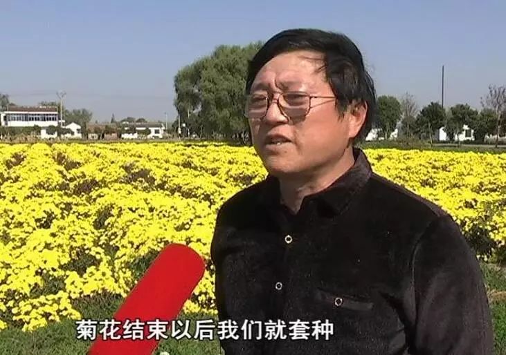中药种植致富宝_致富中药种植宝典视频_致富中药种植宝典下载