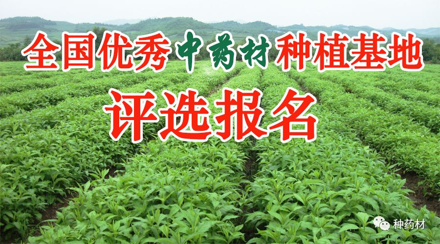 【头条】中药材种植、养殖基地必看