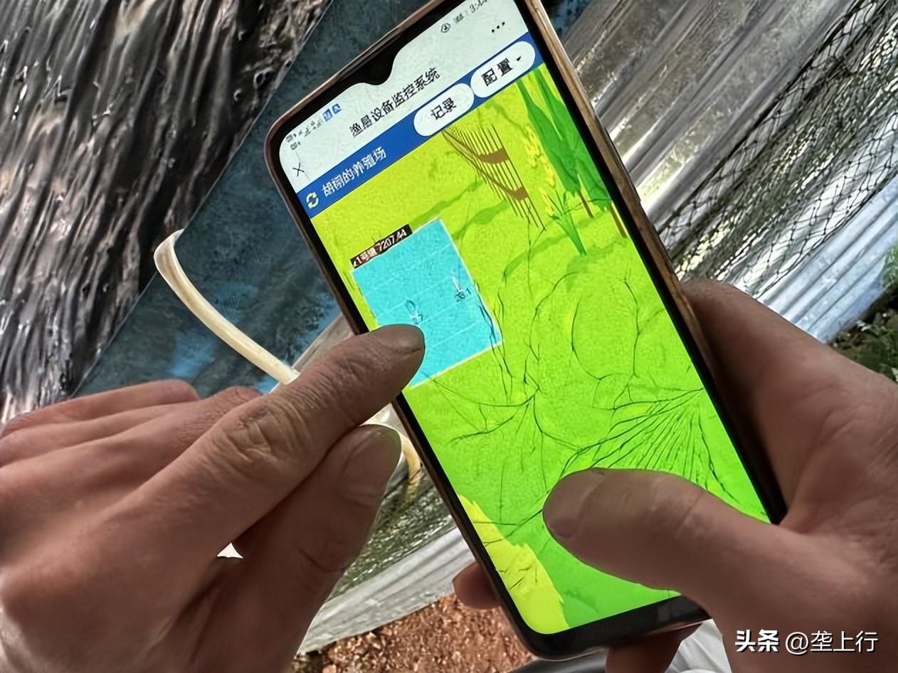 创业致富养殖小鱼_小鱼养殖场_养殖小鱼视频