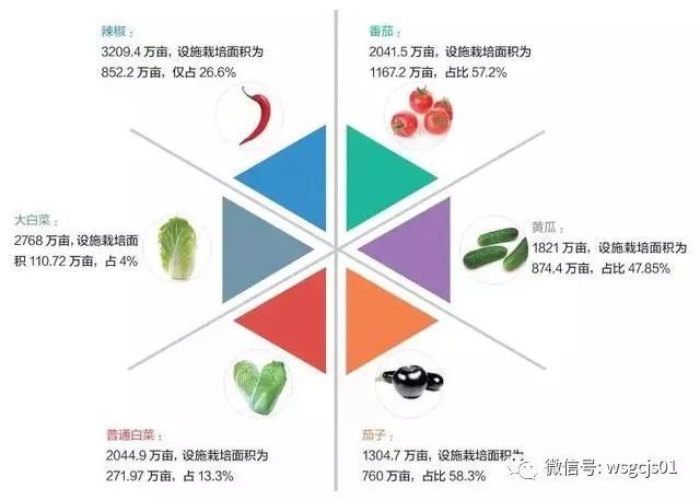 温室工程技术, 种植参考：全国设施蔬菜种植面积和分布情况