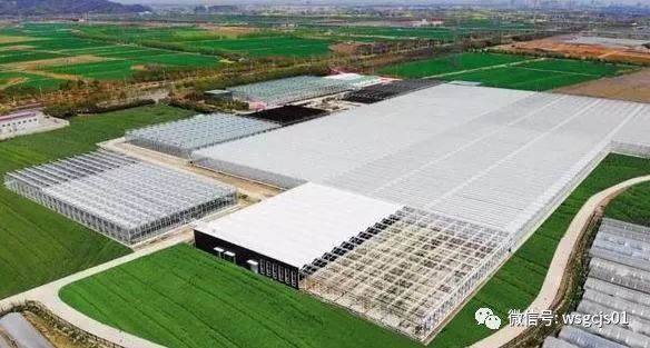 温室工程技术, 种植参考：全国设施蔬菜种植面积和分布情况