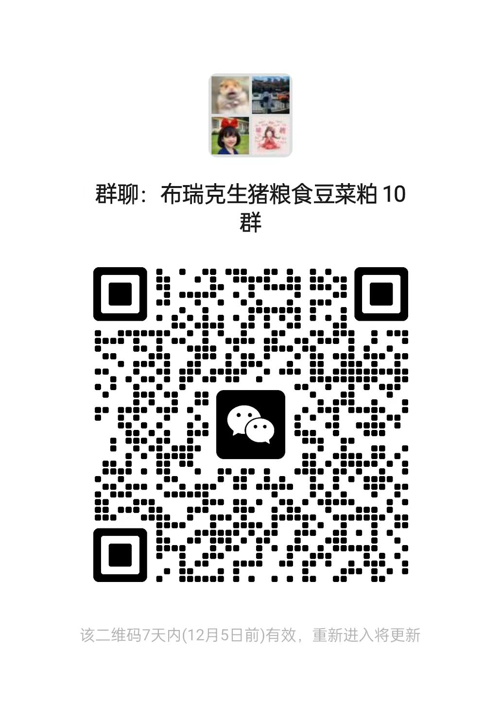 巴西鲤鱼会走路的鱼图片_2016年巴西鲤鱼_致富经巴西鲤