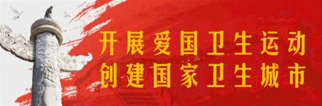 巾帼力量∣蒲敏：“扶贫书记”的巾帼本色——巾帼扶贫脱贫事迹（二）