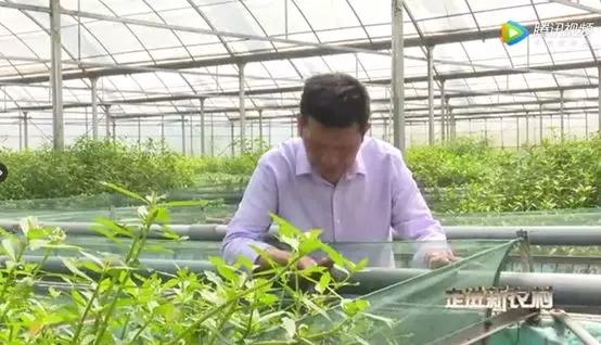 大棚养殖黄鳝的利润和成本_致富经鳝鱼大棚养殖视频_大棚养殖黄鳝养殖池